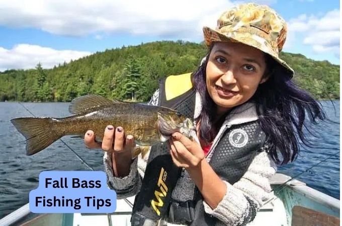 Fall Bass Fishing Tips | You Should Know These Tips To Become An Expert