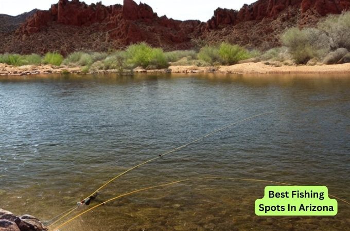 10 Best Fishing Spots In Arizona Where To Go Fishing