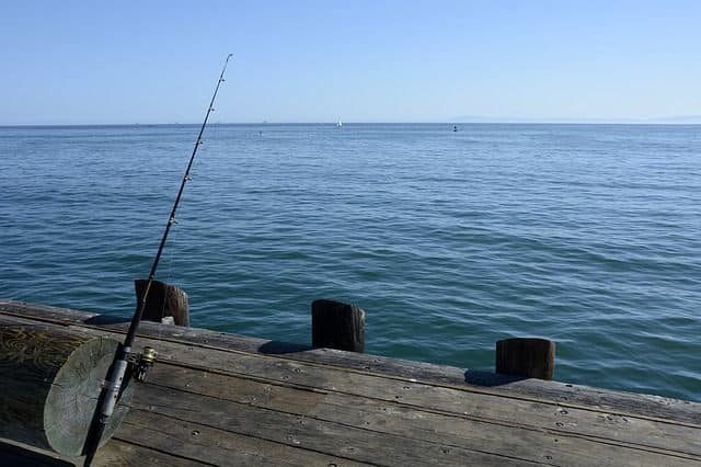 best fishing line for baitcaster