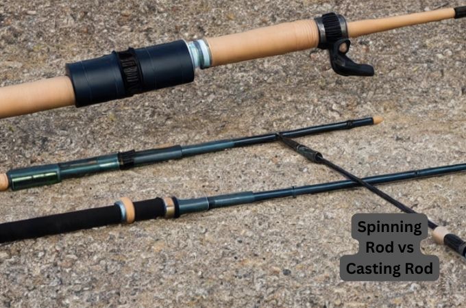 Spinning Rod vs Casting Rod