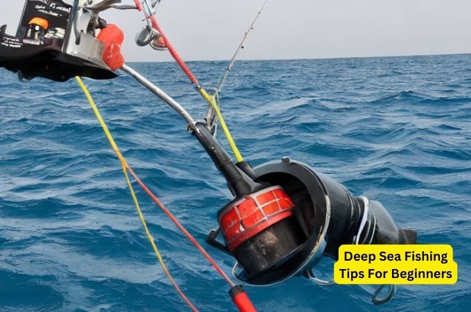 Deep Sea Fishing Tips For Beginners
