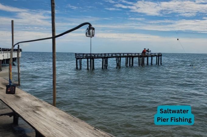Saltwater Pier Fishing