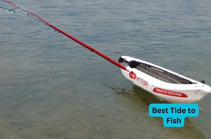 Best Tide to Fish