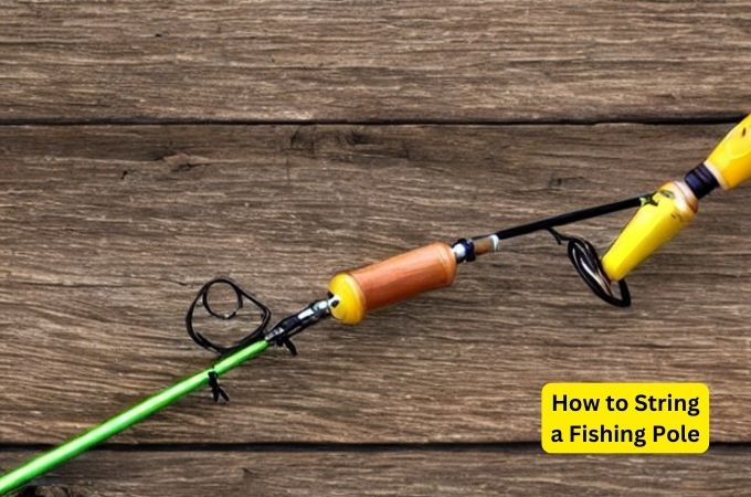 How to String a Fishing Pole | Learn From Experts