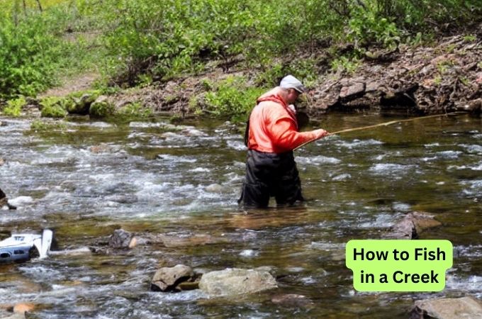 How to Fish in a Creek