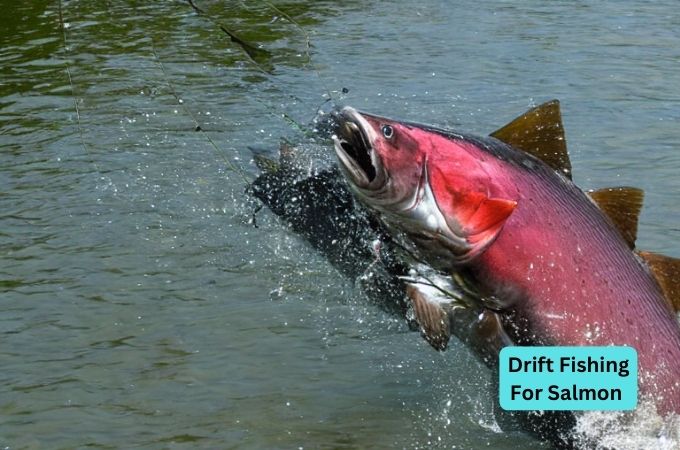 Drift Fishing For Salmon