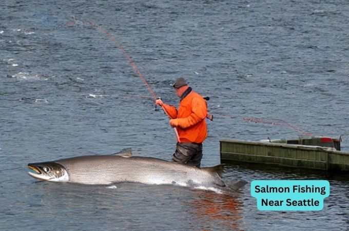 Salmon Fishing Near Seattle
