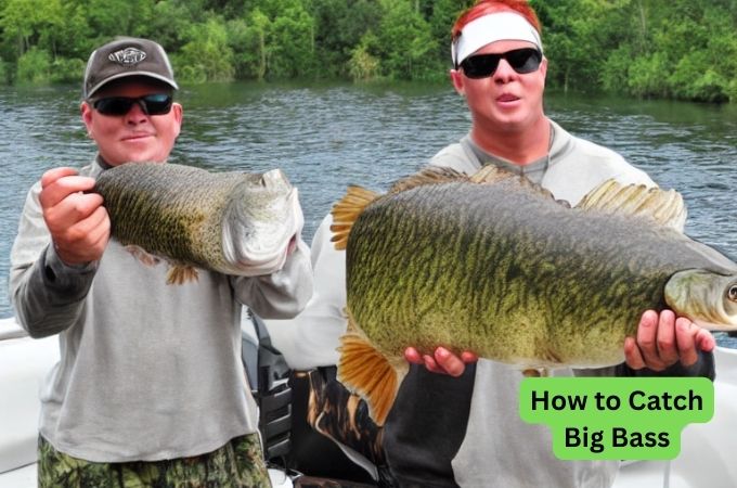 How to Catch Big Bass | Big Bass Fishing Tips & Tricks