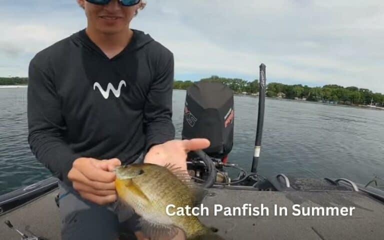 How to catch panfish in summer?