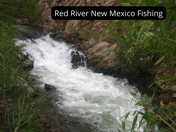 Red River New Mexico Fishing