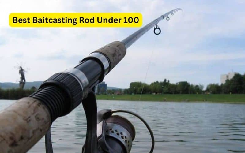 Best Baitcasting Rod Under 100