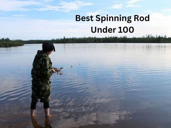 Best Spinning Rod Under 100