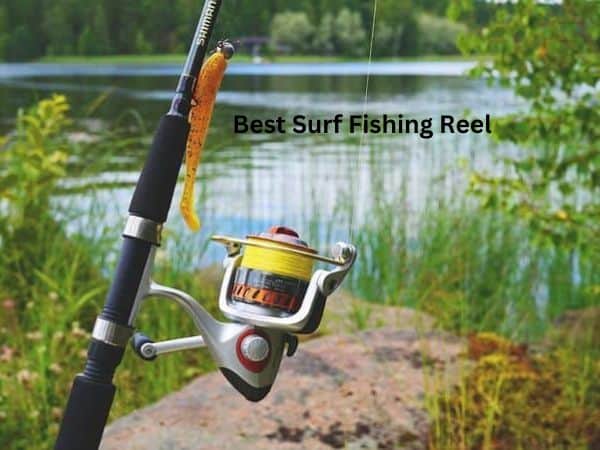 Best Surf Fishing Reel Reviews (Top 10) & Guide For 2023