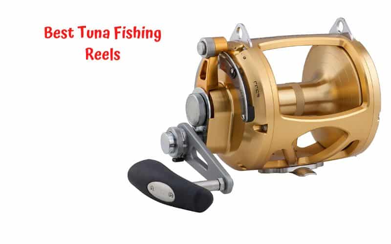 5 Best Tuna Fishing Reels for 2023