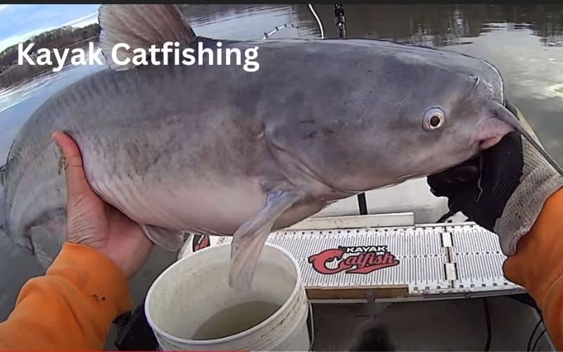 Kayak catfishing