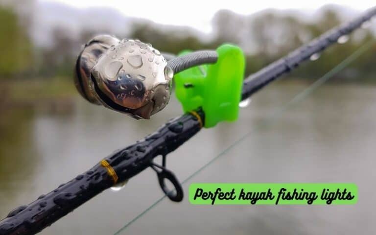 How to Choose the Perfect kayak fishing lights?
