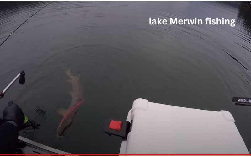 lake Merwin fishing