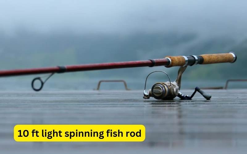10 ft light spinning fish rod