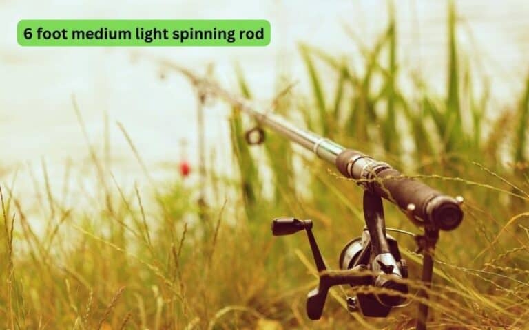 6 foot medium light spinning rod