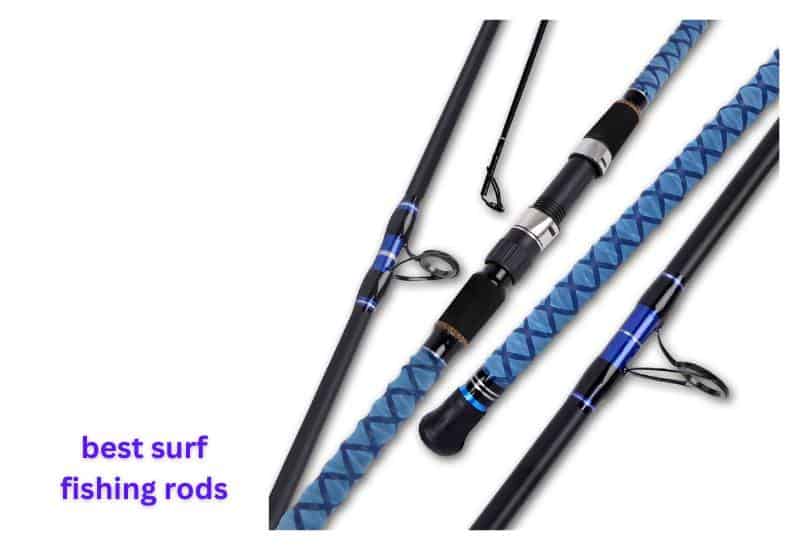 best budjet surf fishing rods: choose out of 10 rods!