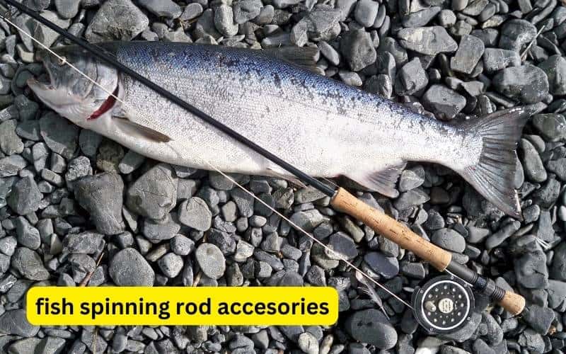 fish spinning rod accesories