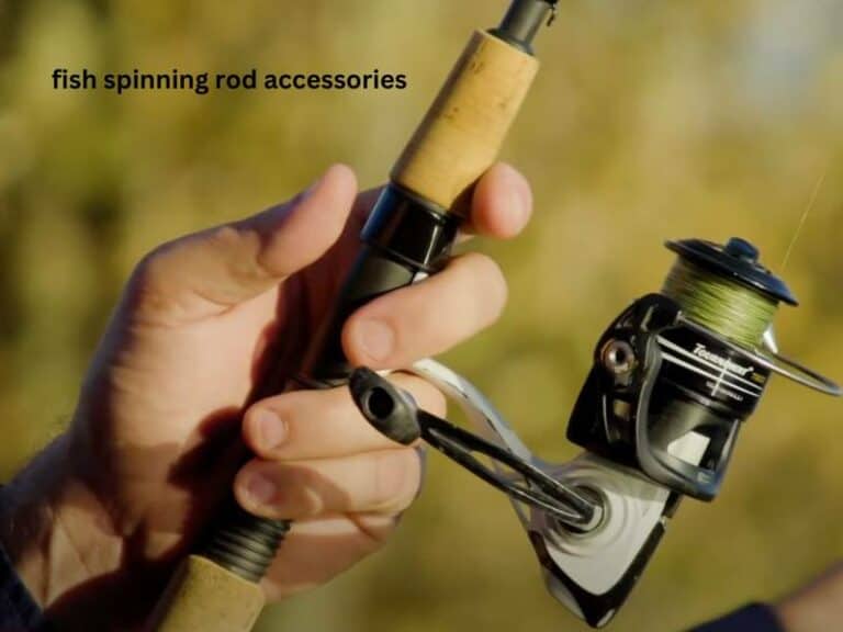 Important fish spinning rod accessories