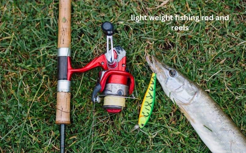 lightweight fishing rod and reels spinning for bream fish