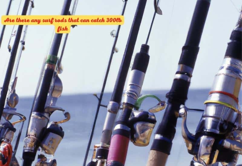 Are there any surf rods that can catch 300lb fish?