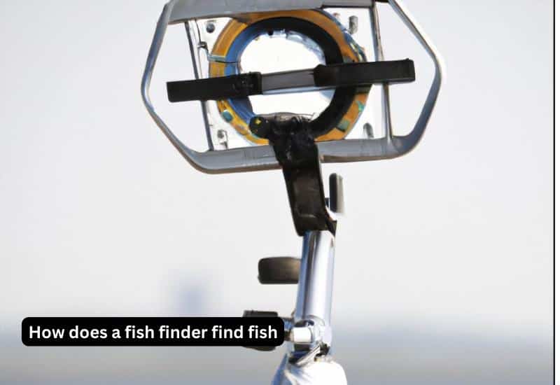 How does a fish finder find fish