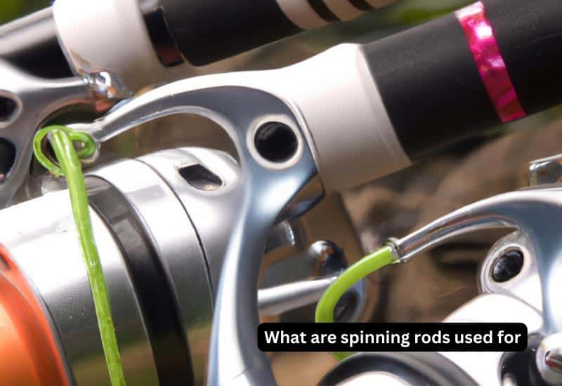 What are spinning rods used for