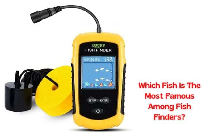 Which fish is the most famous among fish finders?