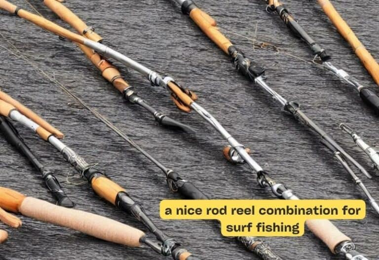 a nice rod reel combination for surf fishing