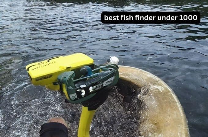 Finding the best fish finder under 1000