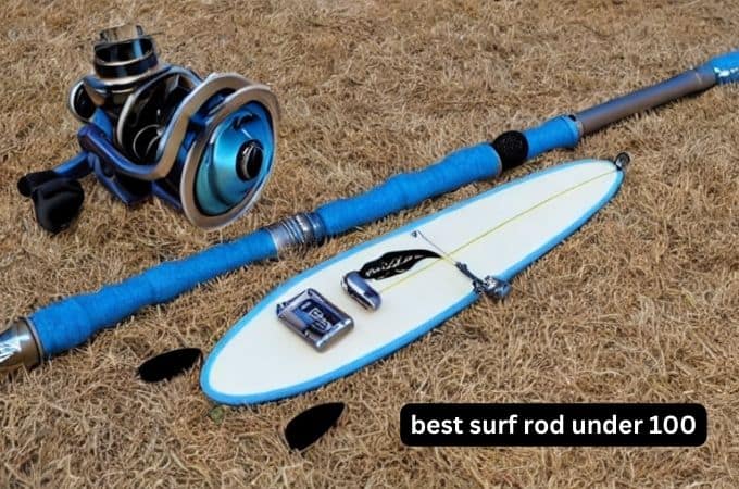 best surf rod under 100