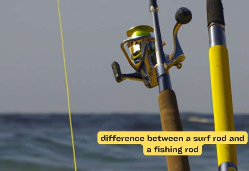 What is the difference between a surf rod and a fishing rod?