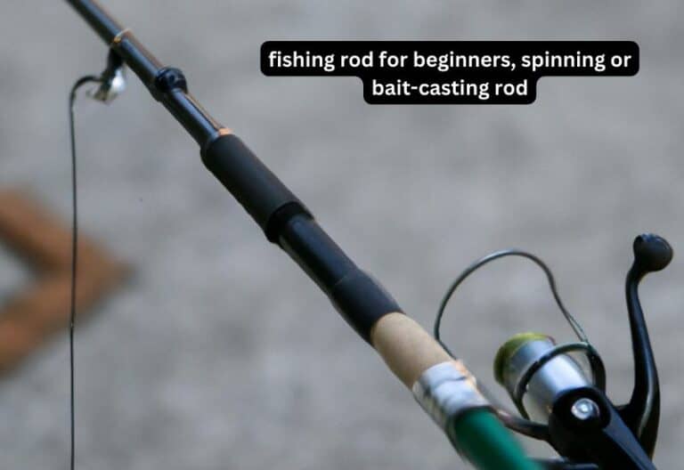 Which fishing rod for beginners, spinning or bait-casting rod?