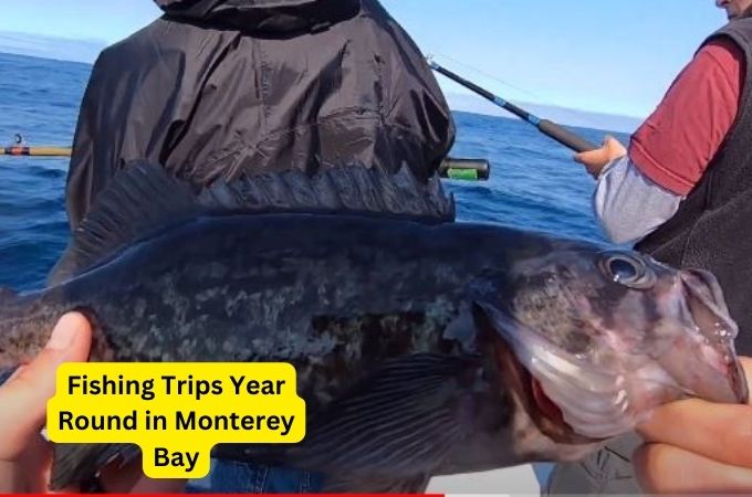 Fishing Trips Year Round in Monterey Bay