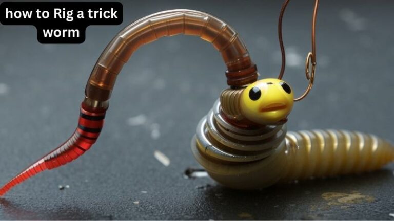 how to Rig a trick worm: A Comprehensive Guide For Beginners