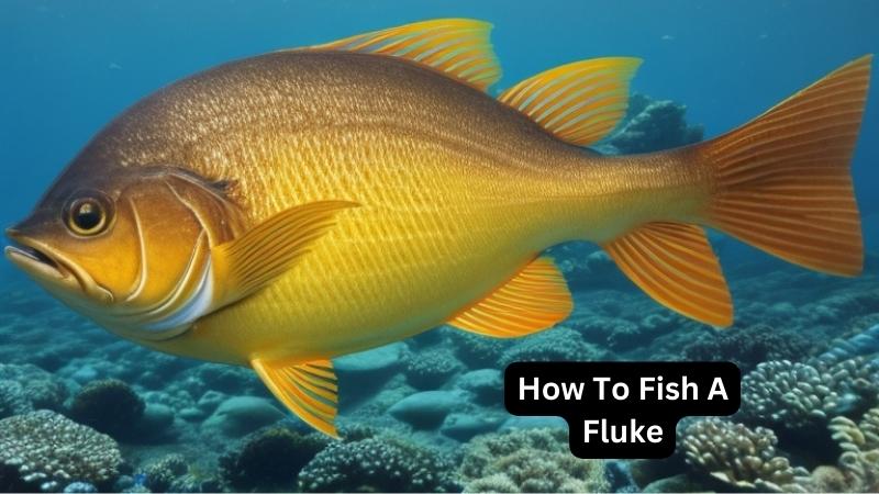 How To Fish A Fluke