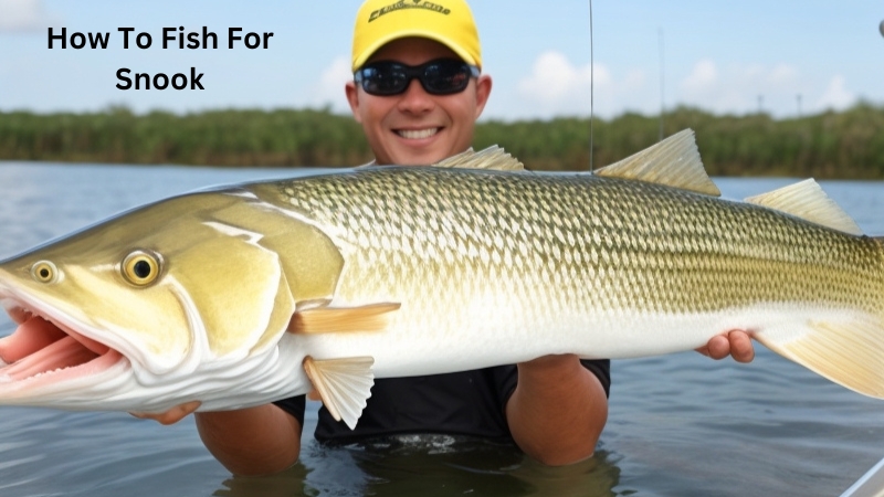 How To Fish For Snook