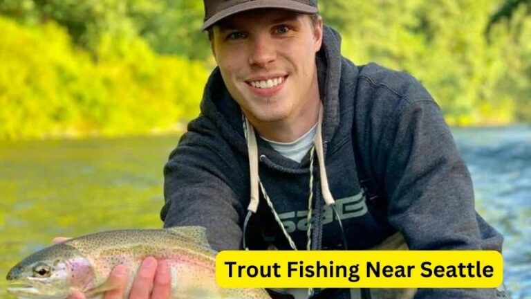 Trout Fishing Near Seattle || fishingtask