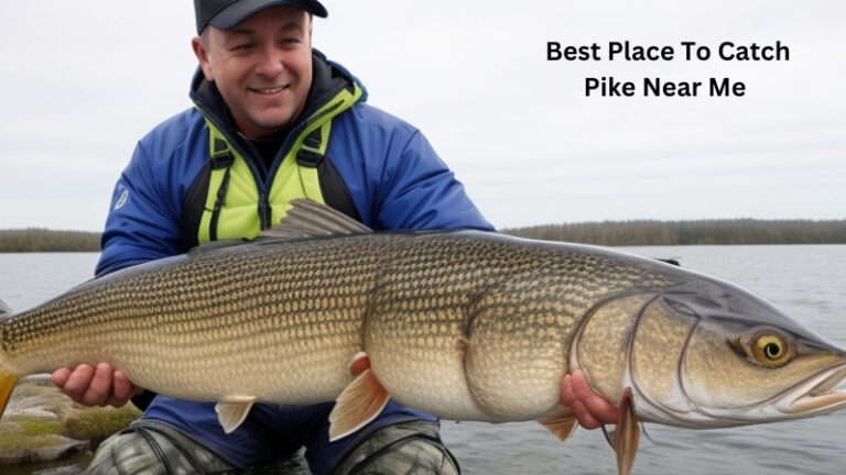 Top Spots: Best Place To Catch Pike Near Me