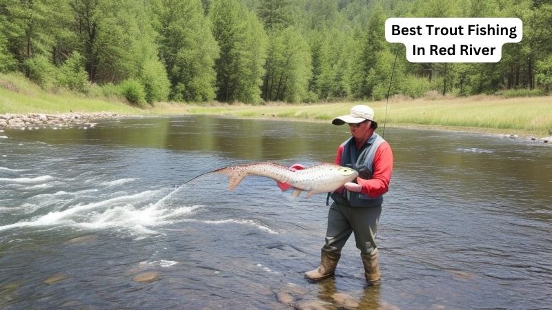 Best Trout Fishing In Red River