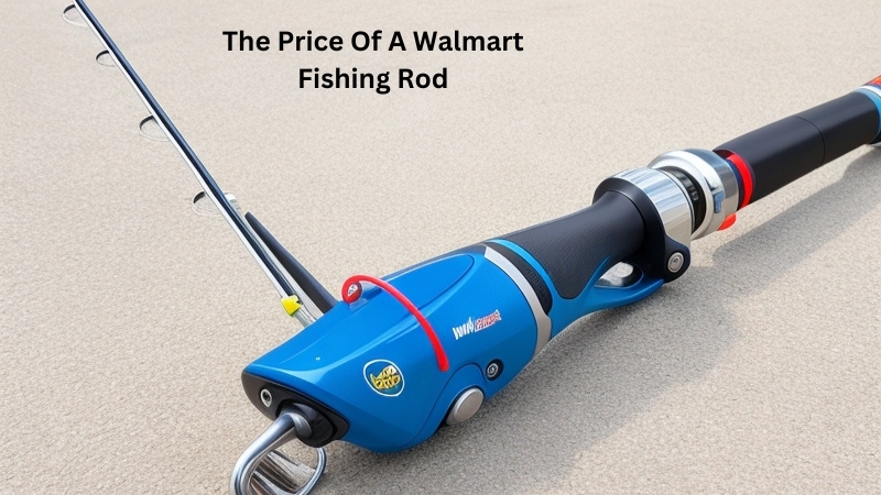 The Price Of A Walmart Fishing Rod