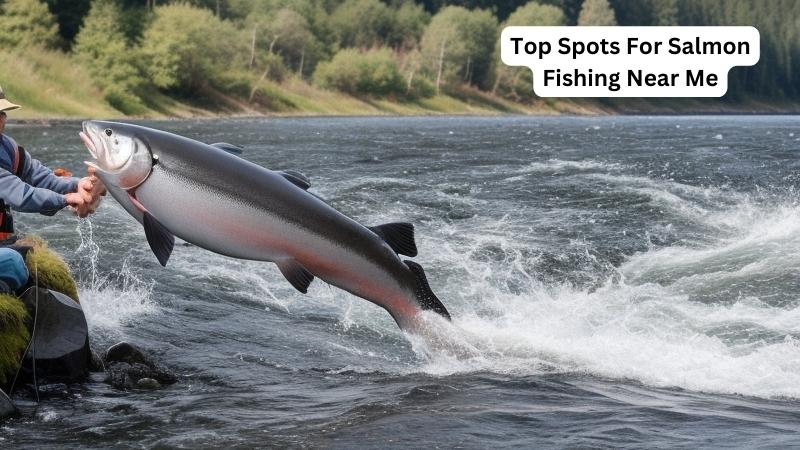 Top Spots For Salmon Fishing Near Me