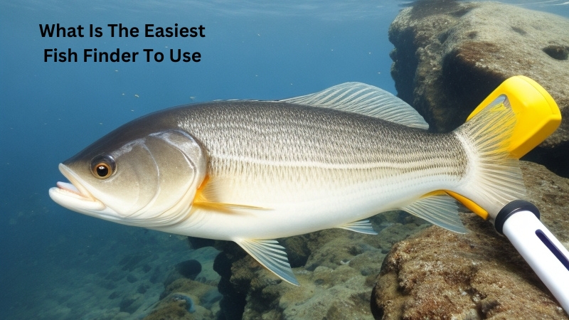 What Is The Easiest Fish Finder To Use