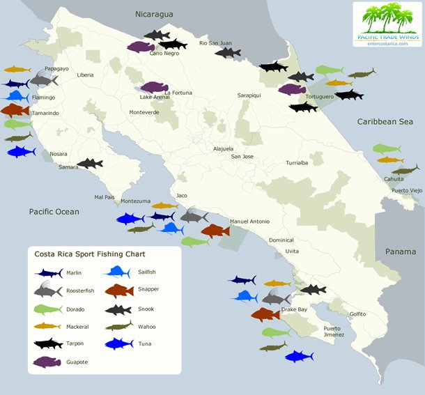 best places to fish in costa rica