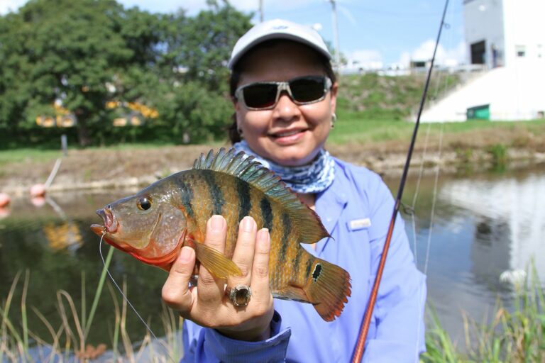 Fishing Success: Mastering How To Catch Fish In Florida Canals