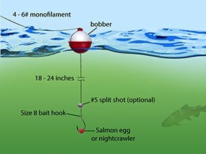 how-to-fish-salmon-eggs-in-a-river