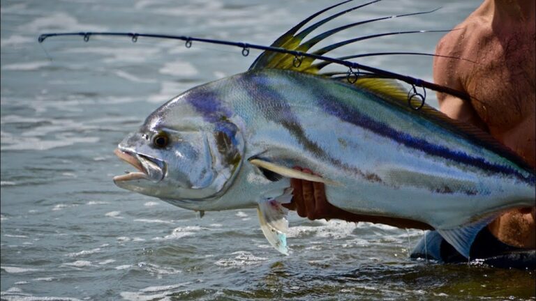 Ultimate Guide To Surf Fishing For Roosterfish In Costa Rica